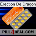 Érection De Dragon new05